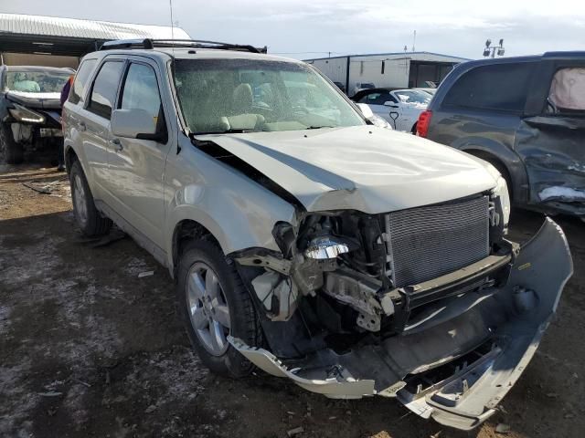 2009 Ford Escape Limited