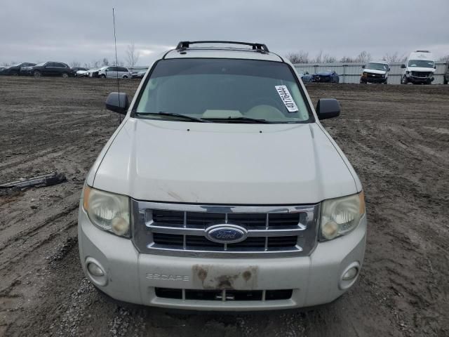 2009 Ford Escape XLT