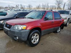 Salvage cars for sale from Copart Bridgeton, MO: 2007 Ford Escape XLT