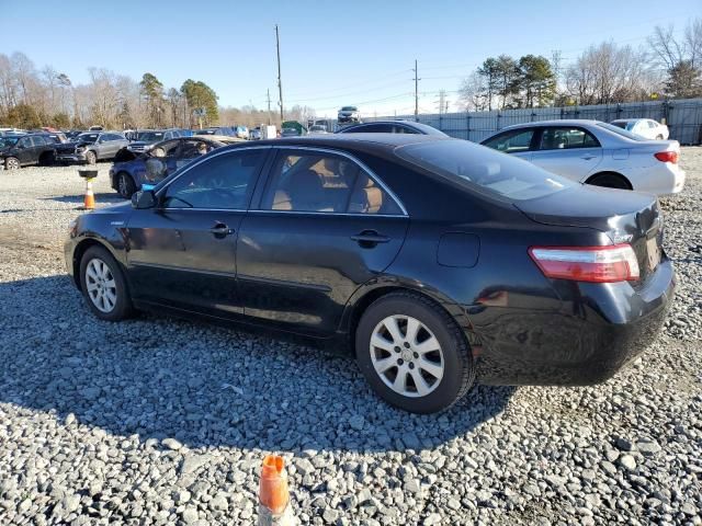 2009 Toyota Camry Hybrid