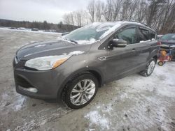 Vehiculos salvage en venta de Copart Candia, NH: 2013 Ford Escape SEL