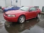 2002 Ford Mustang