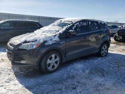 Salvage cars for sale from Copart Kansas City, KS: 2015 Ford Escape SE