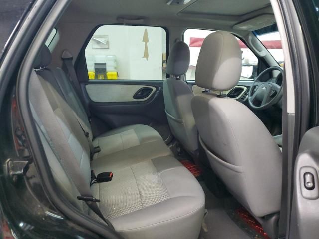 2005 Ford Escape XLT