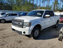 Salvage cars for sale from Copart Harleyville, SC: 2012 Ford F150 Supercrew