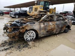 Salvage cars for sale at Temple, TX auction: 2019 Toyota Avalon XLE