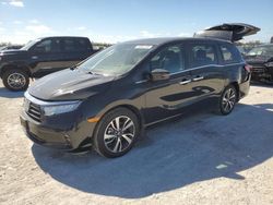 Salvage cars for sale from Copart Arcadia, FL: 2024 Honda Odyssey Touring