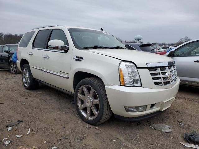 2011 Cadillac Escalade Premium