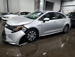 2020 Toyota Corolla LE for sale in Ham Lake, MN