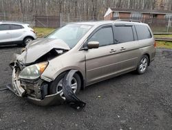 Salvage cars for sale at Finksburg, MD auction: 2009 Honda Odyssey Touring