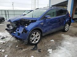 Salvage cars for sale from Copart Chicago Heights, IL: 2013 Ford Escape SEL