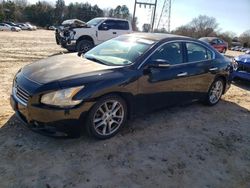 Salvage cars for sale from Copart China Grove, NC: 2010 Nissan Maxima S