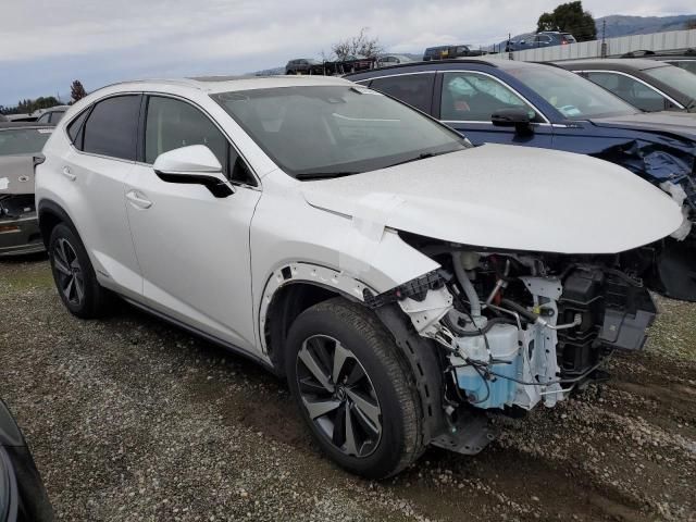 2019 Lexus NX 300H