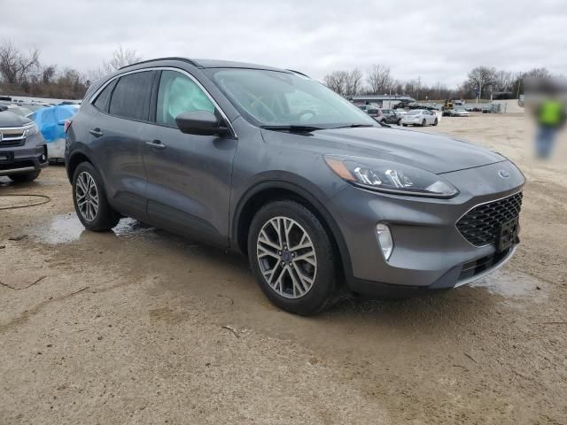 2021 Ford Escape SEL