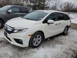 2019 Honda Odyssey EXL for sale in North Billerica, MA