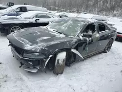 Salvage cars for sale from Copart Marlboro, NY: 2018 Dodge Charger SXT