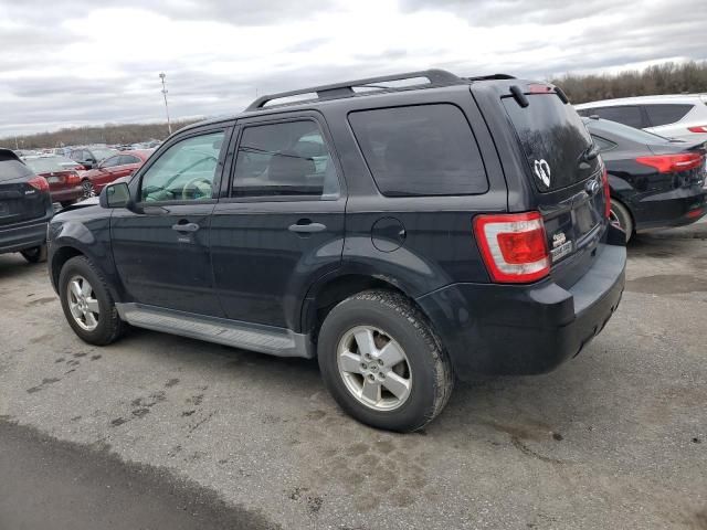 2012 Ford Escape XLT