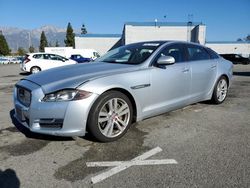 Salvage cars for sale from Copart Rancho Cucamonga, CA: 2016 Jaguar XJL Portfolio