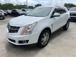 Salvage cars for sale from Copart Opa Locka, FL: 2012 Cadillac SRX Luxury Collection