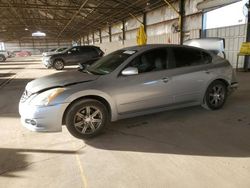 Salvage cars for sale from Copart Phoenix, AZ: 2010 Nissan Altima Base