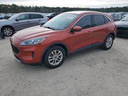 Salvage cars for sale at Harleyville, SC auction: 2020 Ford Escape SE