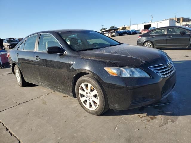 2007 Toyota Camry Hybrid