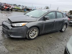 Ford Focus SE salvage cars for sale: 2016 Ford Focus SE