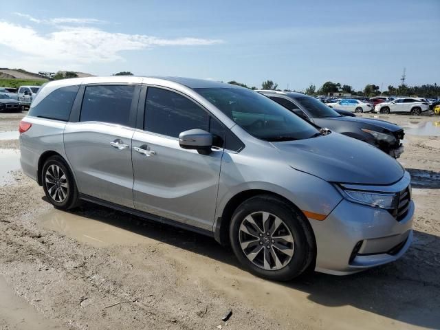 2023 Honda Odyssey EXL