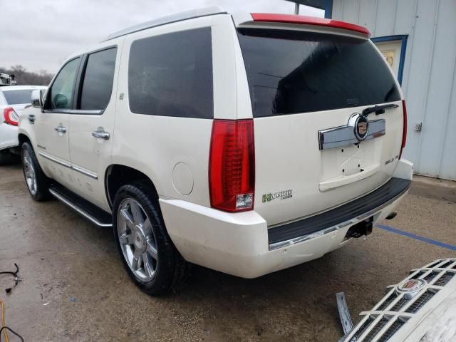 2009 Cadillac Escalade Hybrid