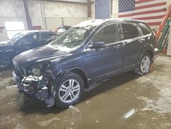 Salvage cars for sale at Helena, MT auction: 2010 Honda CR-V EXL