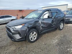 Toyota Rav4 salvage cars for sale: 2021 Toyota Rav4 XLE