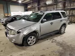 2009 Ford Escape XLT en venta en Eldridge, IA