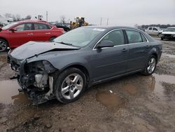 Salvage cars for sale from Copart Cicero, IN: 2009 Chevrolet Malibu 1LT