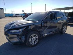 Salvage cars for sale at Anthony, TX auction: 2023 Ford Escape Active