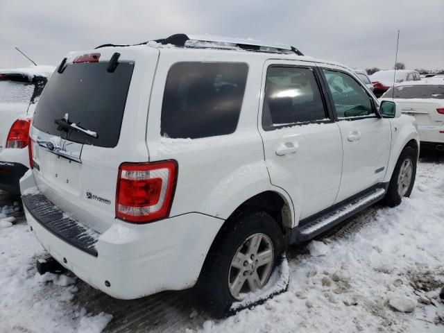 2008 Ford Escape HEV