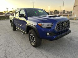 Salvage cars for sale at Miami, FL auction: 2023 Toyota Tacoma Double Cab