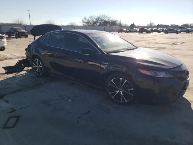 2019 Toyota Camry Hybrid