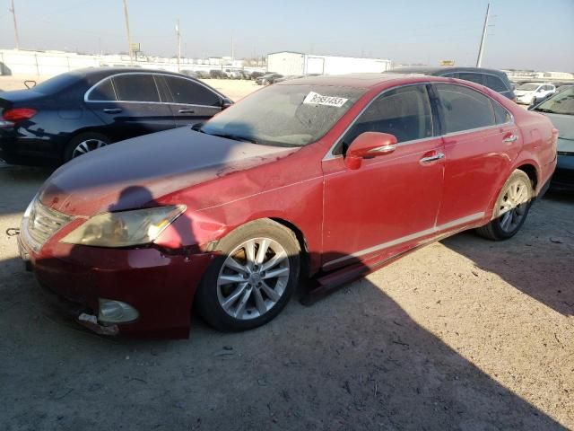 2010 Lexus ES 350