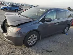 Salvage cars for sale at Earlington, KY auction: 2016 Honda Odyssey EX