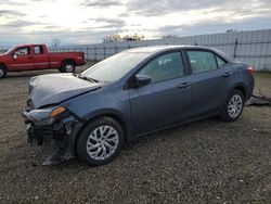 Toyota Corolla L Vehiculos salvage en venta: 2018 Toyota Corolla L