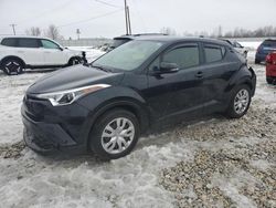 Toyota C-HR XLE salvage cars for sale: 2019 Toyota C-HR XLE