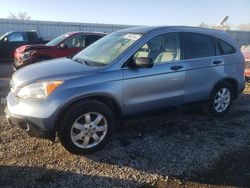 Honda salvage cars for sale: 2007 Honda CR-V EX