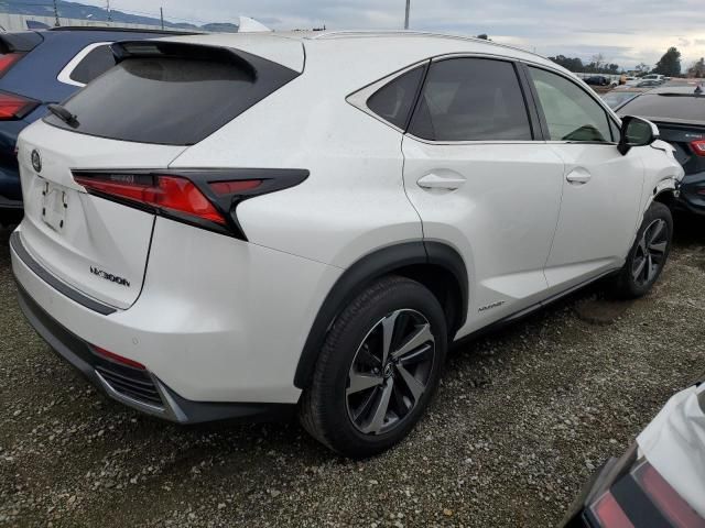 2019 Lexus NX 300H