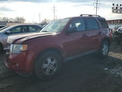 Ford Escape XLT salvage cars for sale: 2010 Ford Escape XLT