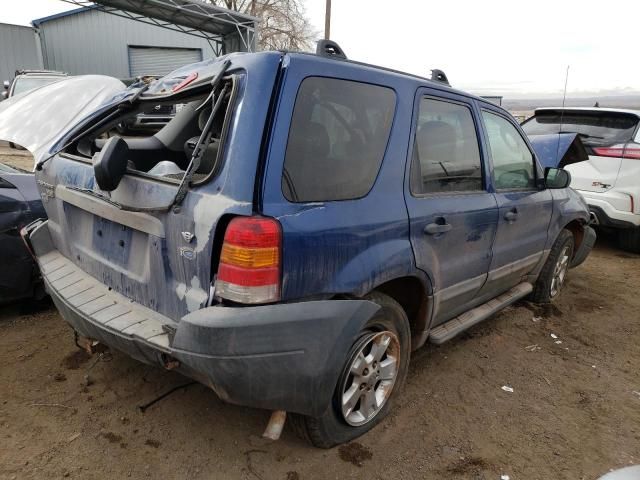 2007 Ford Escape XLT