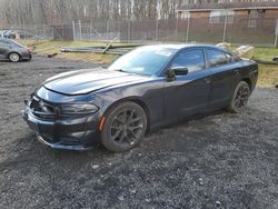 2020 Dodge Charger SXT for sale in Finksburg, MD