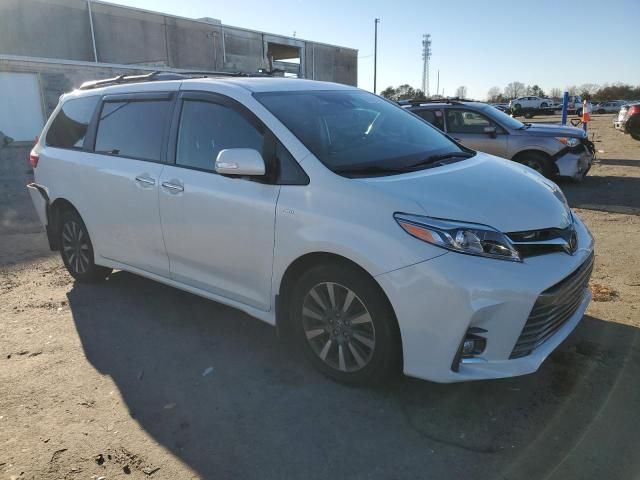 2019 Toyota Sienna XLE