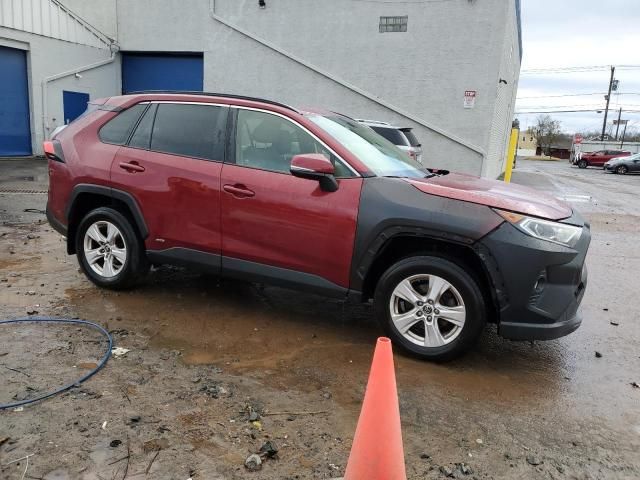 2019 Toyota Rav4 XLE