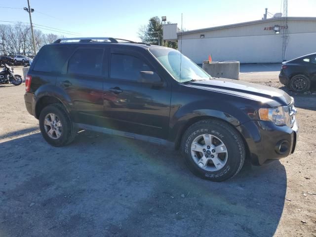 2011 Ford Escape Limited