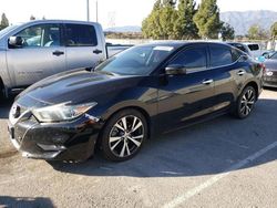 Salvage cars for sale from Copart Rancho Cucamonga, CA: 2017 Nissan Maxima 3.5S